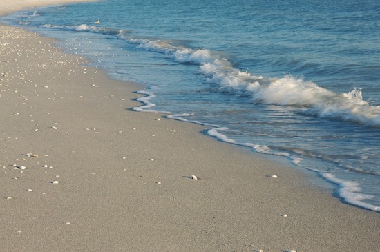 Beach;Beaches;Blue;Florida;Fort Myers;Ocean;Sand;Sanibel Captiva Island;Sea;Shore;Shoreline;Tan;Water;Waves